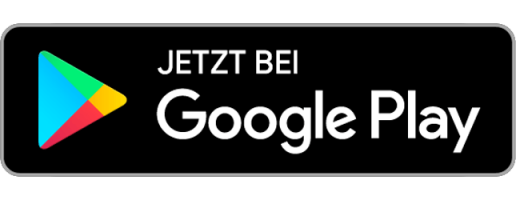 Google Logo Play Store